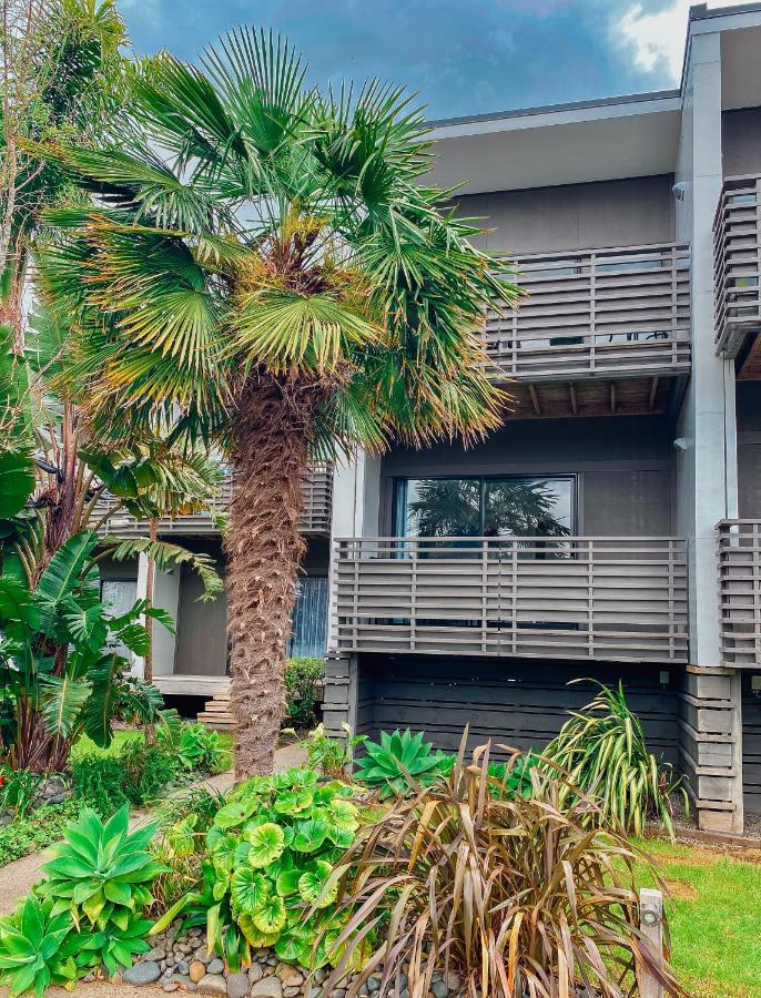 Villa Zion Whitianga Exterior photo